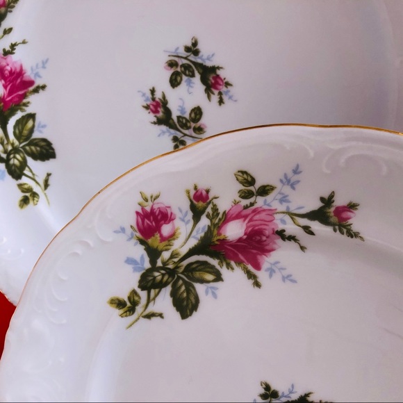 Royal Kent 6  Poland Moss Rose Gold Dinner Plate Set Cottage Holidays China Set - Picture 3 of 6